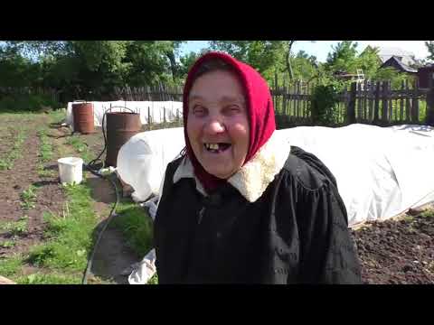 Видео: В огороде у ВАРВАРЫ ПЕТРОВНЫ.