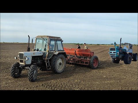 Видео: Посівна❌ Підготовка площі Т-150К з Європак АГ-6👍Дощі не дають змолотити СОЮ🥲