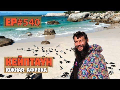 Видео: 540.Где найти пингвинов в Африке?