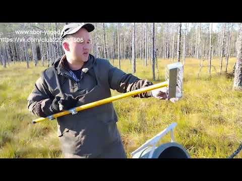 Видео: Сбор клюквы осень 2025 г. Новые грабли испытания. 