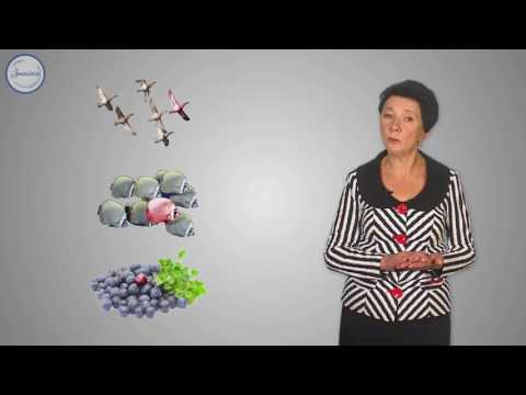 Видео: Математика 1 класс. Число и цифра 1