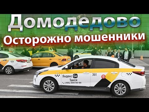 Видео: Мошенники из ДОМОДЕДОВО. Путевые листы. Беспилотники. Новости. Бородач