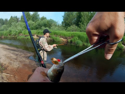 Видео: Ультралайт на лесной речке. Пробуем ловить язя на стрекозу