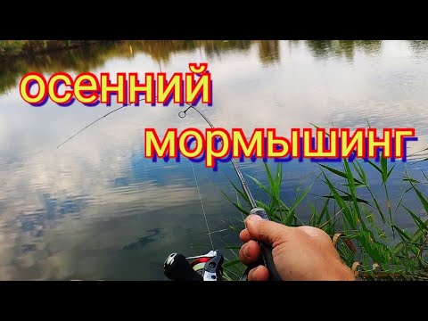 Видео: Осенний мормышинг с neoline 0.1-2.