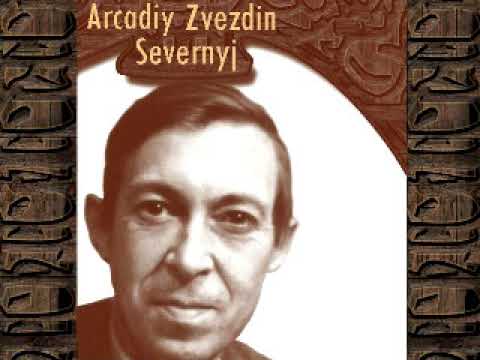 Видео: Аркадий Северный в Житомире.