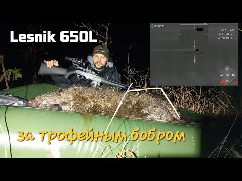 Видео: Охота на бобра с карабином и тепловизором Lesnik 650L