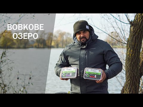 Видео: Як ловити коропа восени / На цей корм клює завжди / Денний флет фідер на Вовковому озері