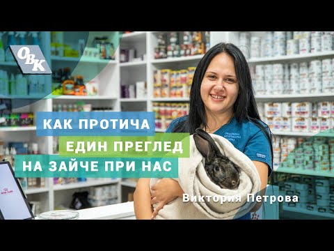 Видео: Как протича един преглед на зайче?