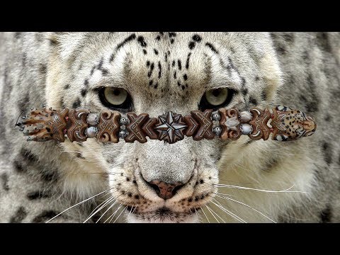 Видео: перекидные четки барс от Димона