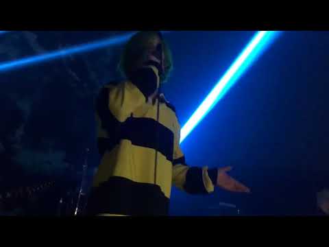 Видео: Пошлая Молли - Типичная вечеринка с бассейном live