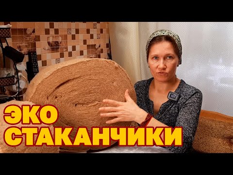 Видео: ДЖУТОВЫЙ СТАКАНЧИК СУПЕР ПРИЖИВАЕМОСТЬ ОГУРЦЫ АРБУЗ КАБАЧКИ ТОМАТЫ@obovsemsmarusya