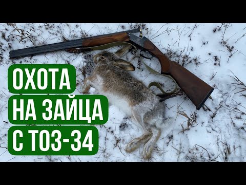 Видео: Охота на зайца с ТОЗ-34. Первый снег!