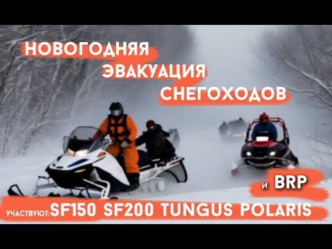 Видео: 1 января! Новогодня эвакуация снегоходов!