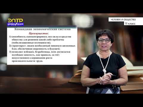 Видео: 11-класс  | Человек и общество | Экономическая система  и интересы страны