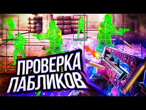 Видео: 🌿 Проверка Пабликов - УЗНАЛИ на ПРОВЕРЕКЕ в CS2! // ПРОВЕРКА ПАБЛИКОВ CS2 НА ЗАЩИТУ [XONE]🌿