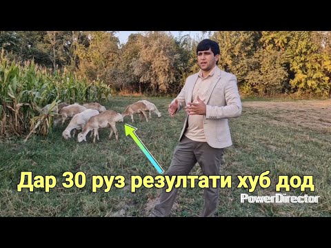 Видео: Резултат аз 8 сар Кучкор дар 30 руз . Супер Резултат шуд. 