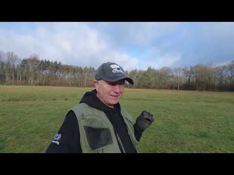 Видео: Металлодетектор: как подойти к новой области