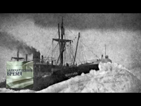 Видео: Одиссея "Челюскина" / Запечатленное время