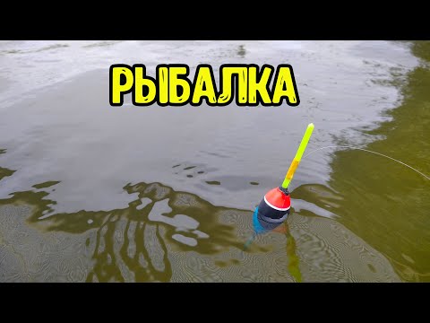 Видео: Вечерняя рыбалка на поплавок.