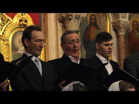 Видео: М. Литвиненко, редакци мит. Ионафана (Елецких) "ИС ПОЛЛА ЭТИ ДЕСПОТА"