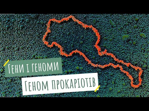 Видео: Гени і геноми. Геном прокаріотів