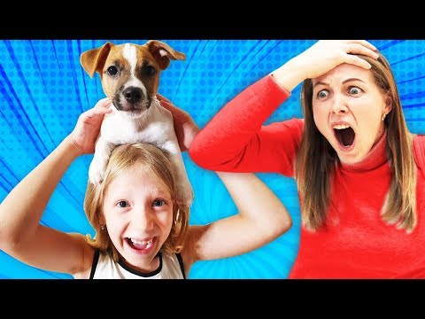 Видео: КАК МЫ ЖИВЕМ С СОБАКОЙ?! Какие ЛАКИ ЗНАЕТ КОМАНДЫ! Что МИЛАНА делает в Likee??   НАШ ОБЫЧНЫЙ ДЕНЬ