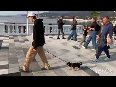 Видео: Кабардинка, ноябрь #beach #море #shortvideo #кабардинка #геленджик #геленджиккабардинка 