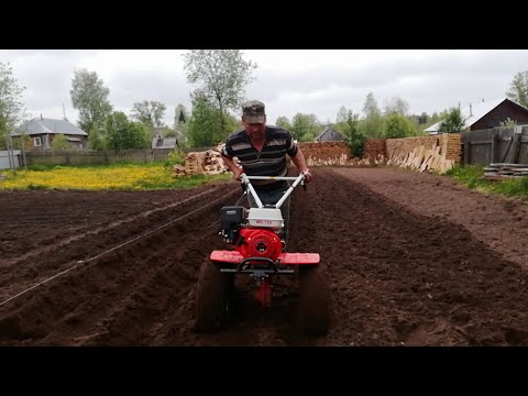 Видео: Трактор не смог...   Купил мотоблок!