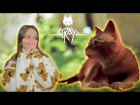 Видео: ИГРАЮ ЗА МИЛОГО, РЫЖЕГО КОТИКА | Stray #1