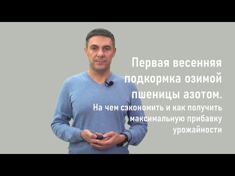 Видео: 1-я весенняя подкормка N оз. пшеницы. На чем сэкономить и как получить прибавку урожайности