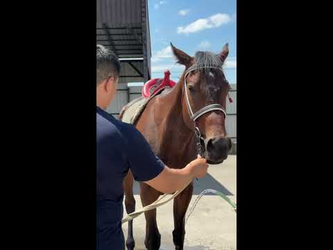 Видео: Алматы қаласы, Әуезов ауданы КМҚК “174 бөбекжай-балабақшасы” “Шаңырақ” байқауы.