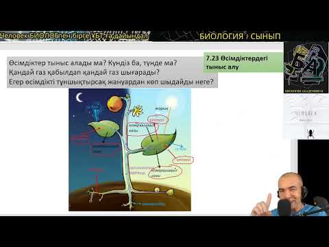 Видео: 7.25. Өсімдіктер тыныс алады ма? қандай газ сіңіреді? қай уақытта тыныс алады?#7сыныпбиология #ұбтби