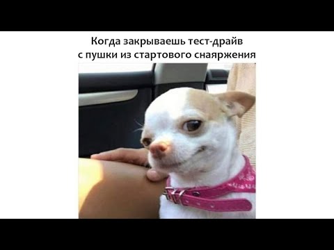 Видео: Лучшее чувство в таркове