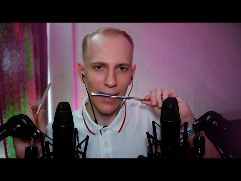 Видео: Асмр грызу кисточки и карандаш 🖊️ ASMR Brush in the mouth