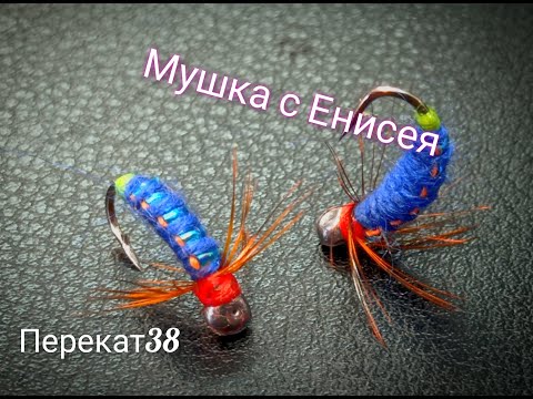 Видео: мушка с Енисея