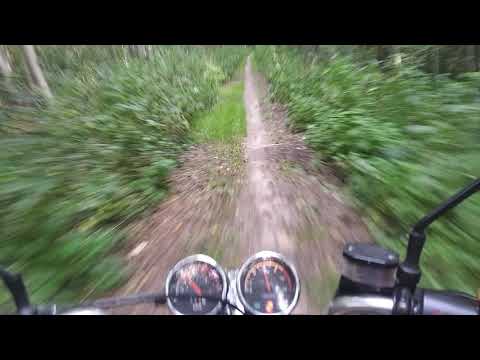 Видео: Первый выезд на Минск Д4 50...