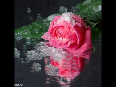 Видео: Эльза Махмудова- Яр душман