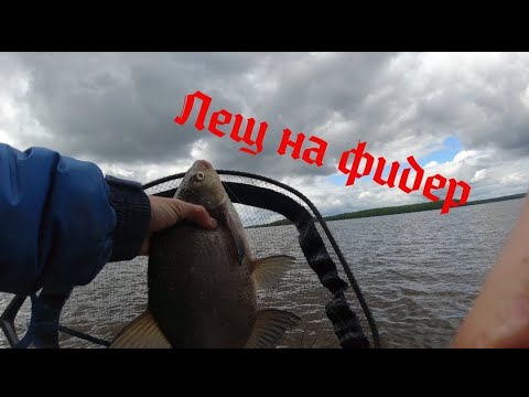 Видео: Лещ на фидер. Пасмурная переменчивая погода. Чигиринское водохранилище