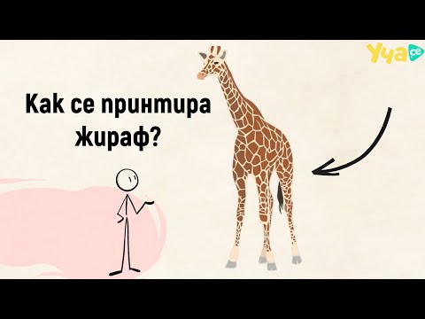 Видео: Kак да си принтираш жираф у дома?