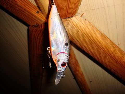 Видео: INBORN KOSADAKA.  Щуки построились по ранжиру.