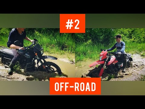 Видео: Off-road На Shineray XY250-6C| Shineray Intruder 200 #2