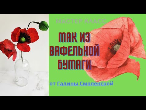 Видео: Мини МК🌺МАК из вафельной бумаги