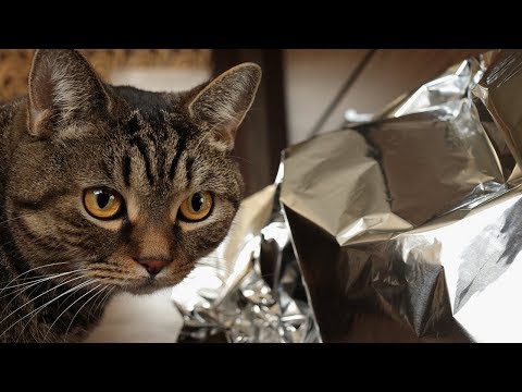 Видео: Опасна ли фольга или нет? Небольшое рассуждение