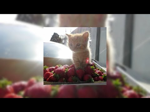 Видео: плейлист из твоего детства