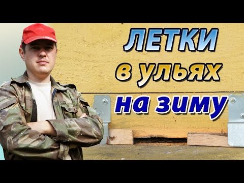 Видео: Летки в ульях на зиму. Вентиляция улья зимой и подготовка пчёл к зимовке на воле.