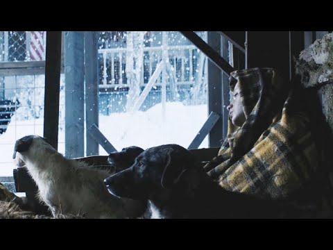 Видео: Аав нь түүнийг нохойн дунд хаяснаар юу болдог вэ?
