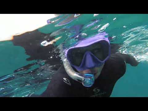 Видео: Бухта Камень и мы в ней!