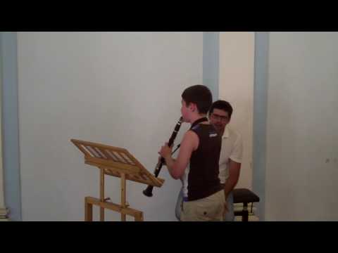 Видео: Мастер-класс В.Т. Урюпина (кларнет). Часть II.