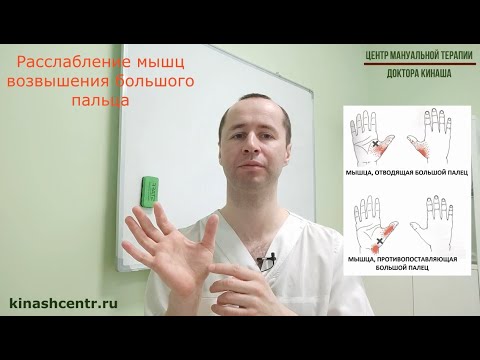Видео: Расслабление мышц большого пальца кисти. Боль в большом пальце.