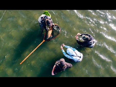 Видео: Ловля нахлыстом самой большой форели в мире | Рыбалка с сойкой | Пирамид-Лейк, Невада